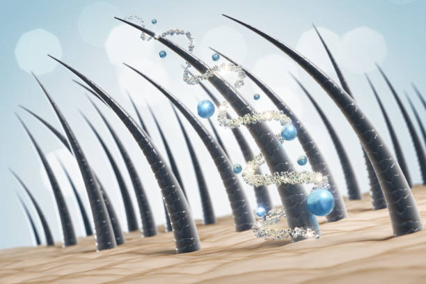 Potente suero para el crecimiento del cabello para adultos 2022 Peptido Biotina Lash de ceja 3