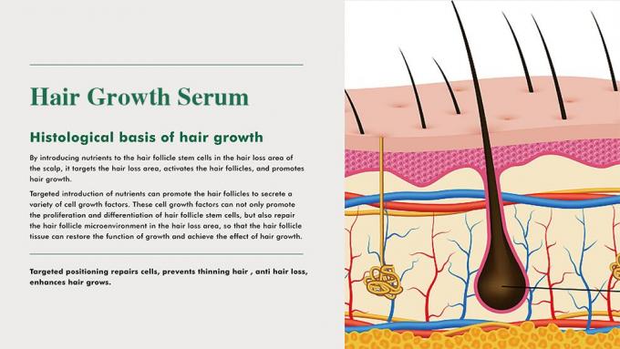 Tónico de hierbas para el cabello para hombres Prevenir la pérdida de cabello Regresar el cabello Mejorar el volumen 3 meses de suministro 0