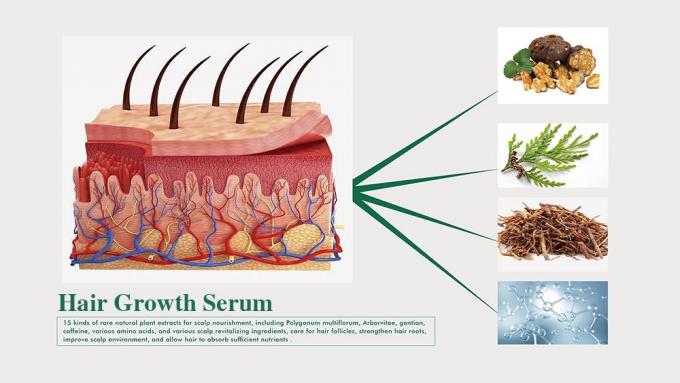 Tónico de hierbas para el cabello para hombres Prevenir la pérdida de cabello Regresar el cabello Mejorar el volumen 3 meses de suministro 1