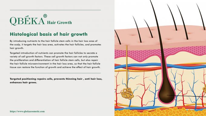 Shampoo estándar de prevención de la pérdida de cabello para el tratamiento de la pérdida y adelgazamiento del cabello 80m 2