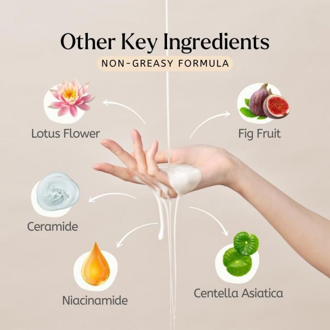 Extractos naturales Toner de arroz de etiqueta privada Apoyo para hidratar y reponer la piel 1