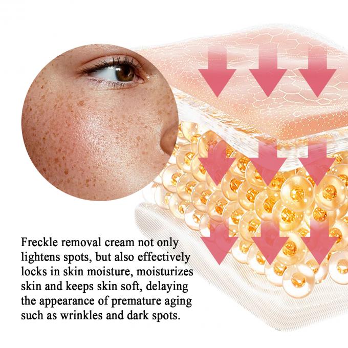 Crema facial Retinol para la eliminación de pecas Perfumado personalizado y marca privada ofrecidos 4