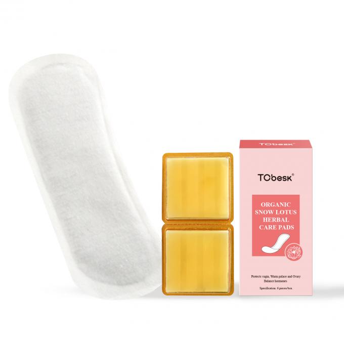 Protección de las partes privadas de la vagina femenina almohadillas de hierbas para la secura anti picazón y desodorante 2