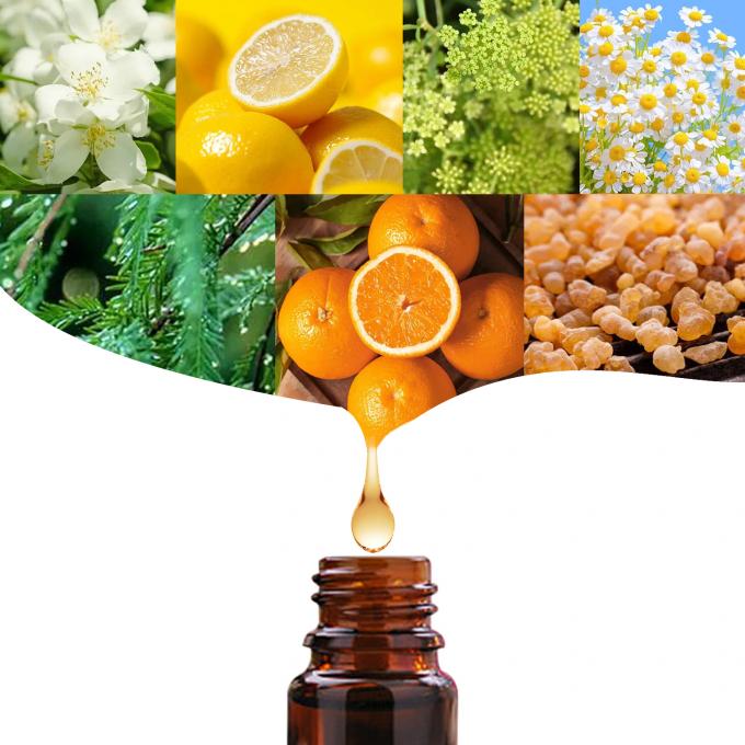 Inicio Hacer que las mujeres tengan el pecho más grande con el aceite esencial de ampliación de mamas de alta venta 10ml 2